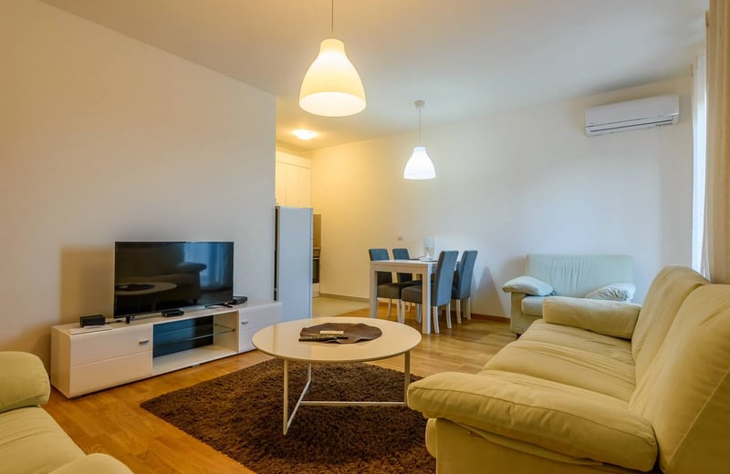 Bright Apartment 55m² for Rent, Vračar, Belgrade, Serbia