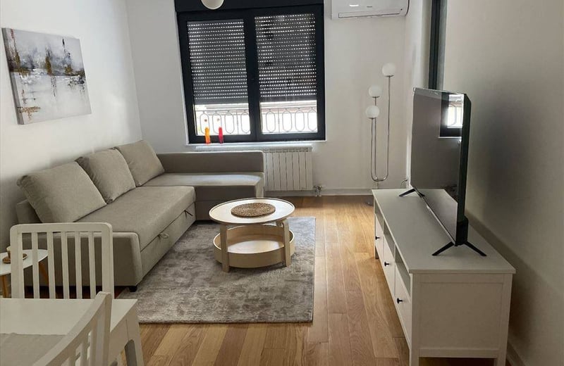 Comfortable Apartment 40m² for Rent in City Center, Belgrade, Serbia