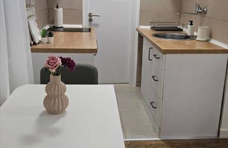 Appartement cosy 40m² à louer, Vračar, Belgrade, Serbie