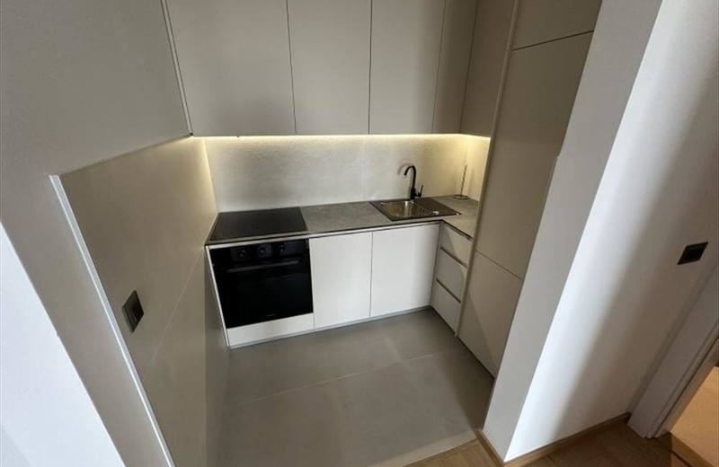 Bright Apartment 56m² for Rent in Novi Dorčol Residential Complex, Belgrade, Serbia