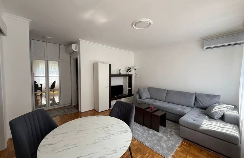 Bright Apartment 46m² for Rent, Vračar, Belgrade, Serbia
