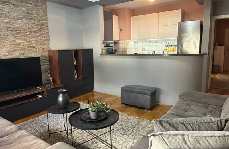 Comfortable Apartment 48m² for Rent in City Center, Belgrade, Serbia