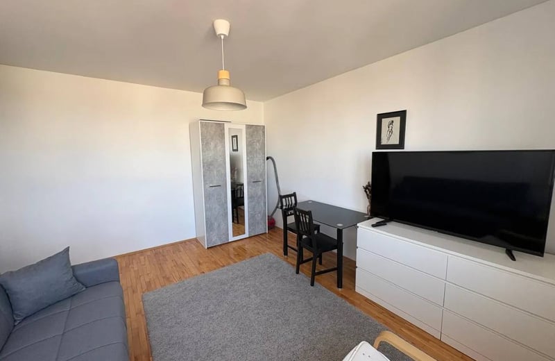 Alquiler de apartamento acogedor de 33 m² en el centro de la ciudad, Belgrado