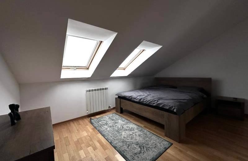 Spacious and cozy 85 m² apartment for rent in Vračar, Belgrade, Serbia