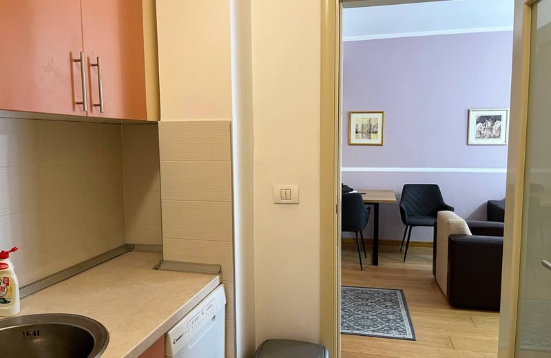Аренда уютной квартиры 53 м² с видом на Храм Святого Саввы в центре Белграда, Сербия