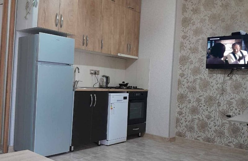 Comfortable furnished apartment for rent, 47 m², Batumi, Georgia