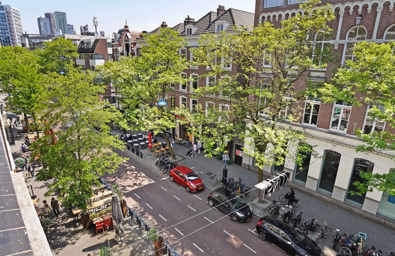 Rental of a bright and stylish apartment, 63 m², Rotterdam, Netherlands