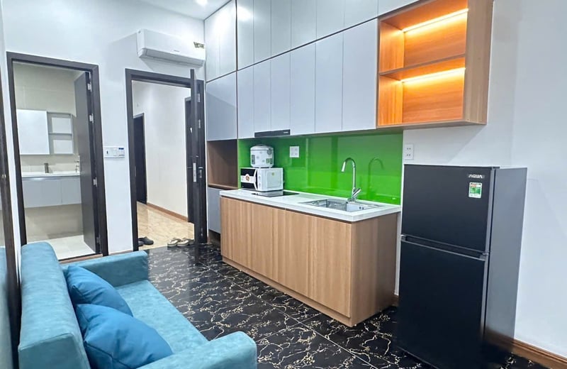 Furnished apartment for rent, pets allowed, Da Nang, Vietnam