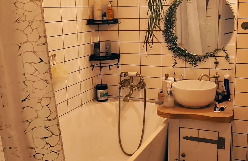 Gemütliche wohnung mit individuellem design zur miete, Botanica, Chisinau, Moldawien