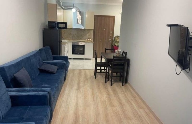 Аренда комфортной меблированной квартиры 50м², Батуми, Грузия