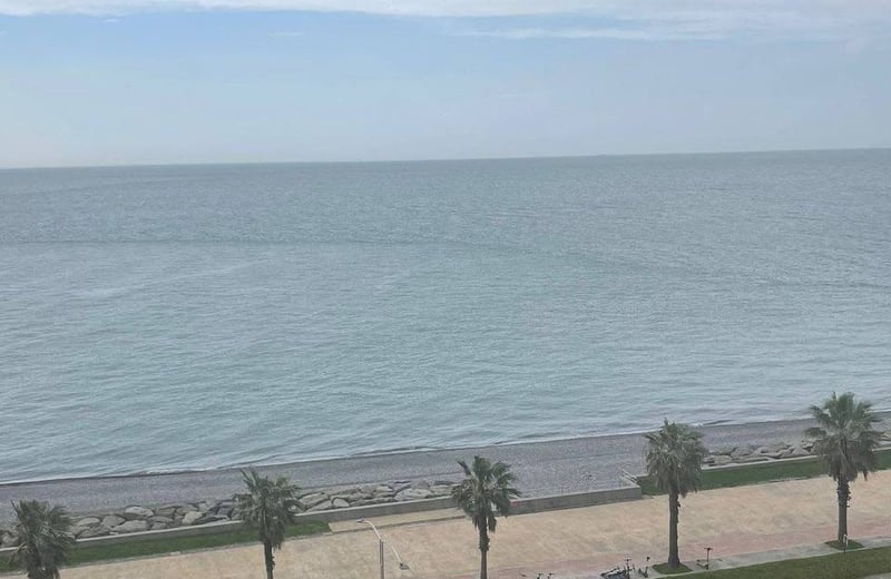 Аренда квартиры 50м² с видом на море, Батуми, Грузия