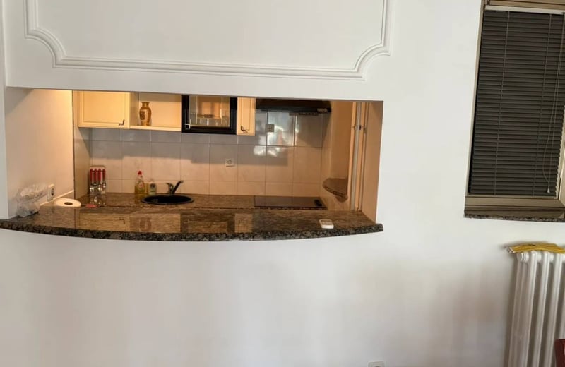 Rent of a bright 3-room apartment, 90 m², Vračar, Belgrade, Serbia