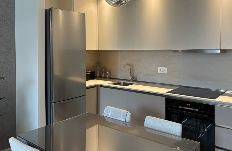 Rent of a comfortable, furnished 2-room apartment, 58 m², BW Terra, Belgrade, Serbia