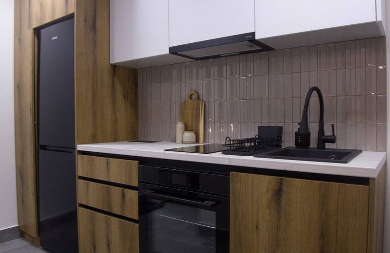 Miete einer gemütlichen 1-Zimmer-Wohnung, 47 m², mit großer Terrasse, Vračar, Belgrad, Serbien