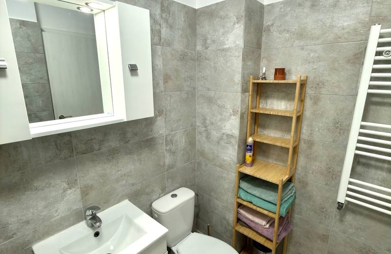 Rent of excellent 1-room apartment, Sector 6, Bucharest, Romania