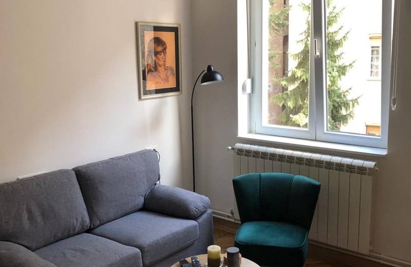 Rent of cozy studio apartment 24 m², Vračar, Belgrade, Serbia