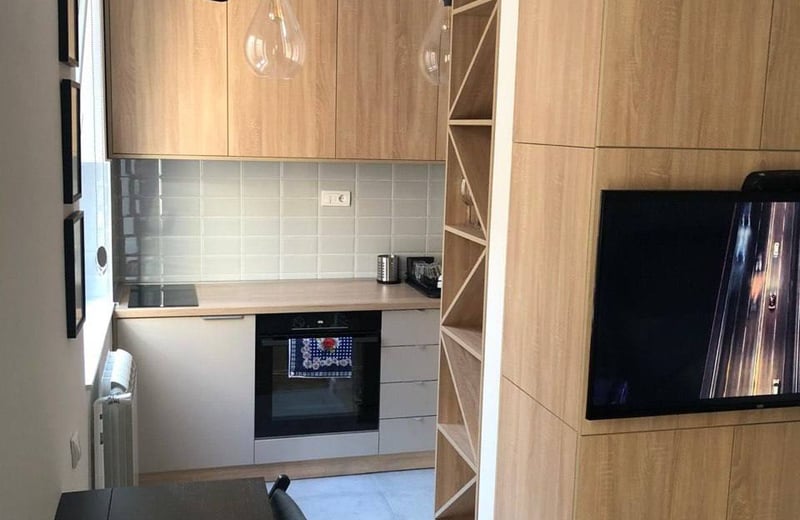 Аренда уютной квартиры-студии 24 м², Врачар, Белград, Сербия