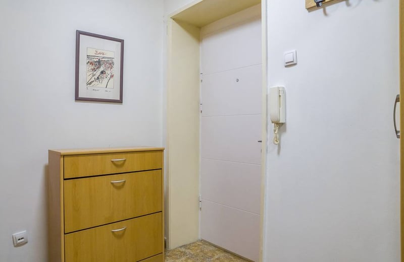 Rent of a bright two-room apartment in the city center, 53 m², Belgrade, Serbia