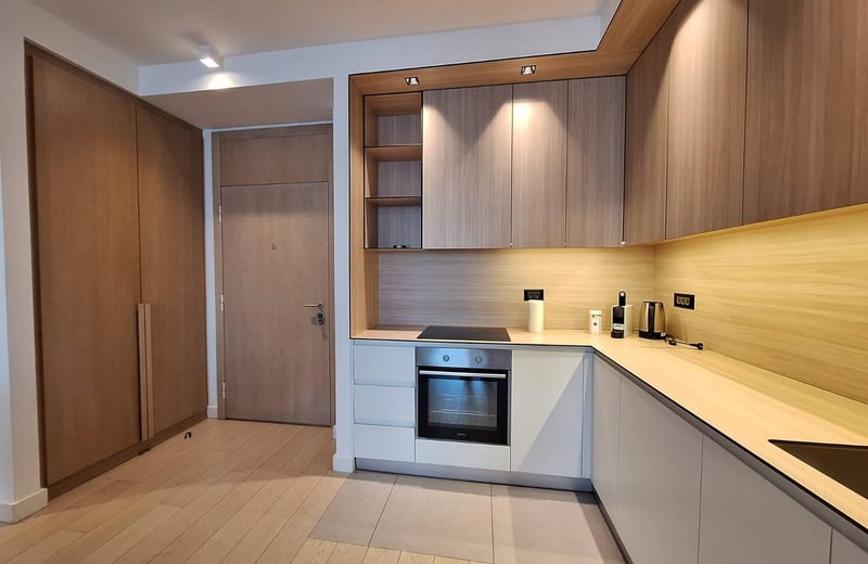 Location d’un appartement premium de deux pièces, 55 m², Belgrade, Belgrade Waterfront, Serbie