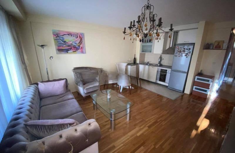 Rent of a spacious two-room apartment, 58 m², Belgrade, Vračar, Serbia