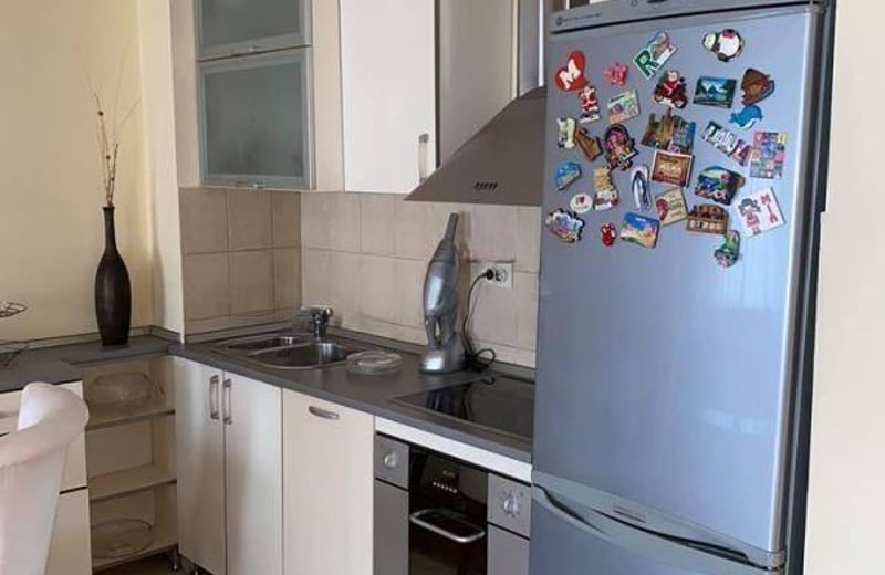 Rent of a spacious two-room apartment, 58 m², Belgrade, Vračar, Serbia