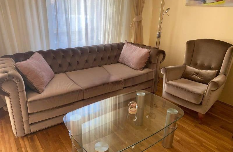 Rent of a spacious two-room apartment, 58 m², Belgrade, Vračar, Serbia