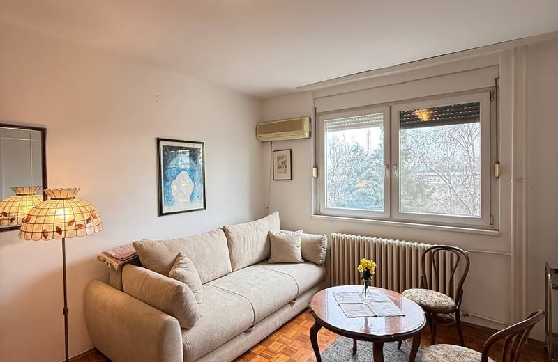 Rent of a bright one-room apartment in the city center on the Danube embankment, 43 m², Belgrade, Serbia