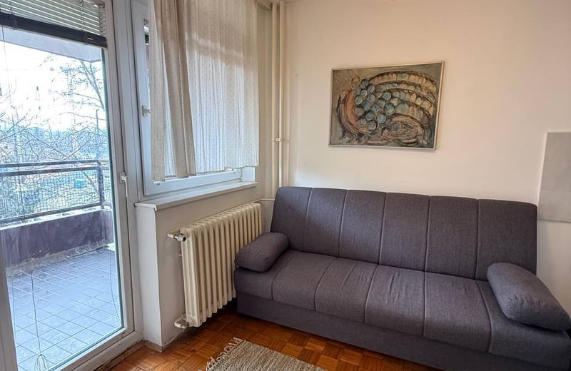 Rent of a bright one-room apartment in the city center on the Danube embankment, 43 m², Belgrade, Serbia