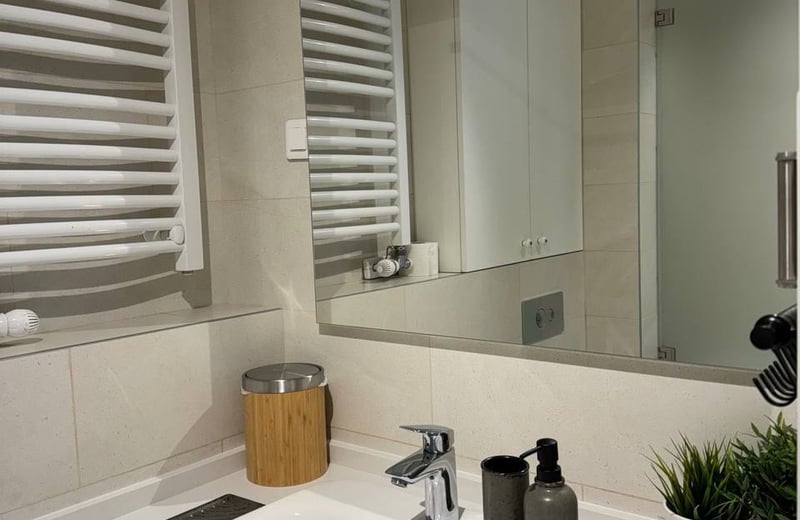 Rent of a spacious two-room apartment in the city center, 63 m², Belgrade, Serbia