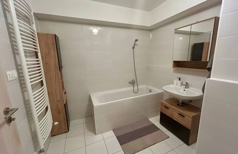 Rent of a modern apartment, 40 m², in Nové Mesto, Bratislava, Slovakia