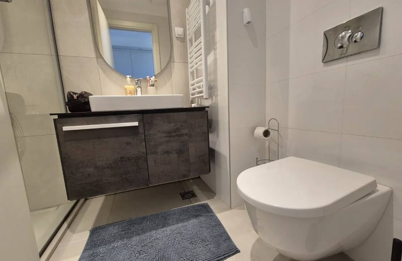 Rent of a studio apartment, 32 m², in the premium residential complex BW Aqua, Belgrade, Serbia