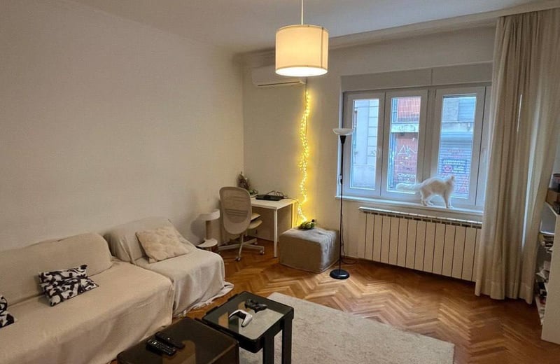 Аренда уютной меблированной трехкомнатной квартиры 77 м² во Врачаре, Белград, Сербия