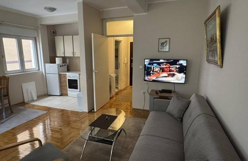 Rent of a cozy 3-room apartment, 60 m², in Vračar, Belgrade, Serbia