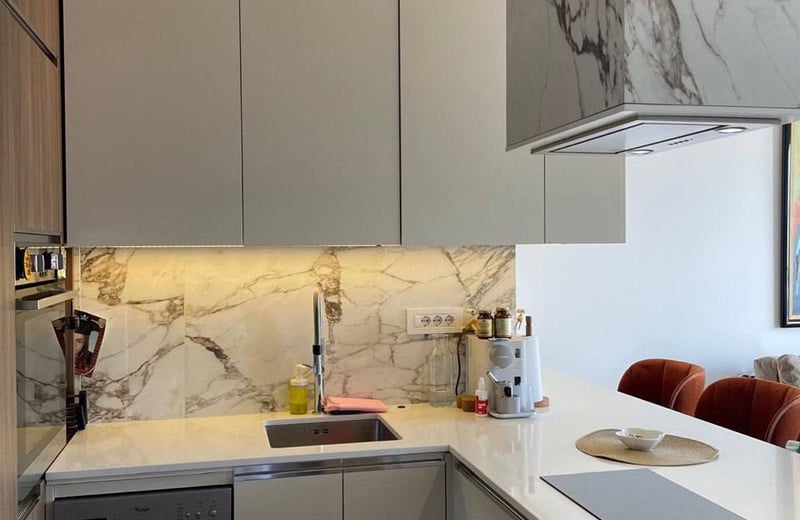 Аренда стильной, светлой двухкомнатной квартиры, 56 м², в центре Врачара, Белград, Сербия