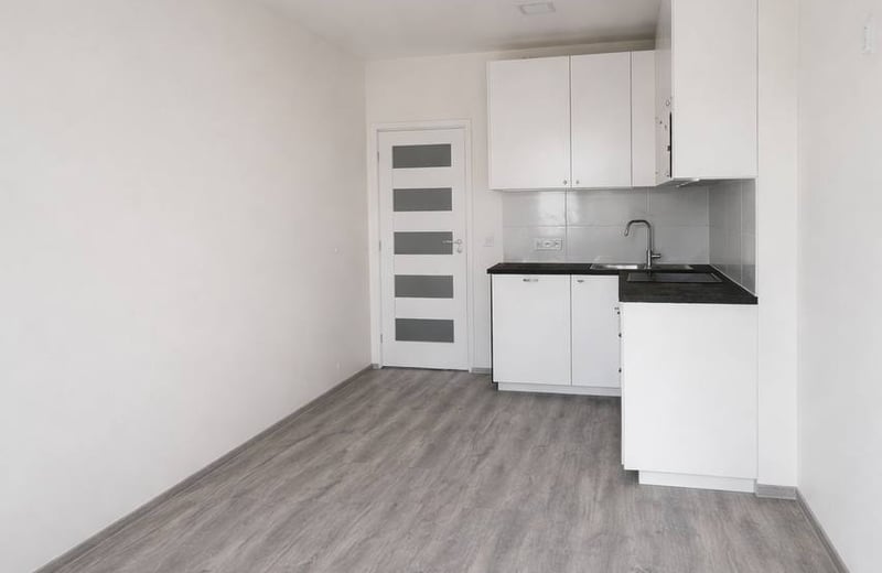 Location d’un appartement lumineux de 2 pièces, 43 m², Žižkov, Prague, République tchèque
