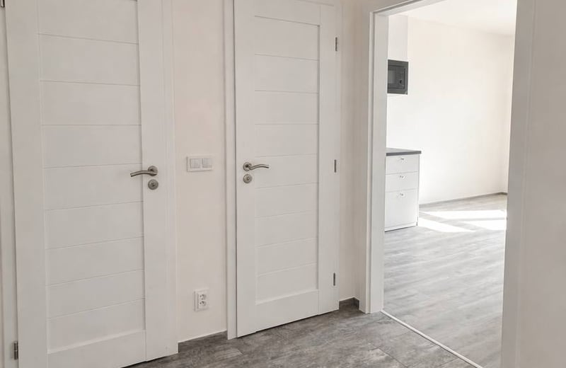 Location d’un appartement lumineux de 2 pièces, 43 m², Žižkov, Prague, République tchèque