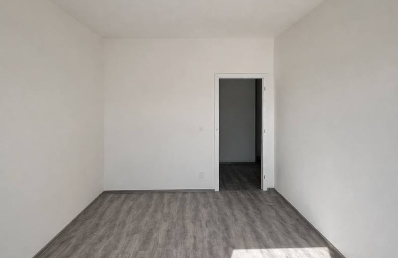Location d’un appartement lumineux de 2 pièces, 43 m², Žižkov, Prague, République tchèque