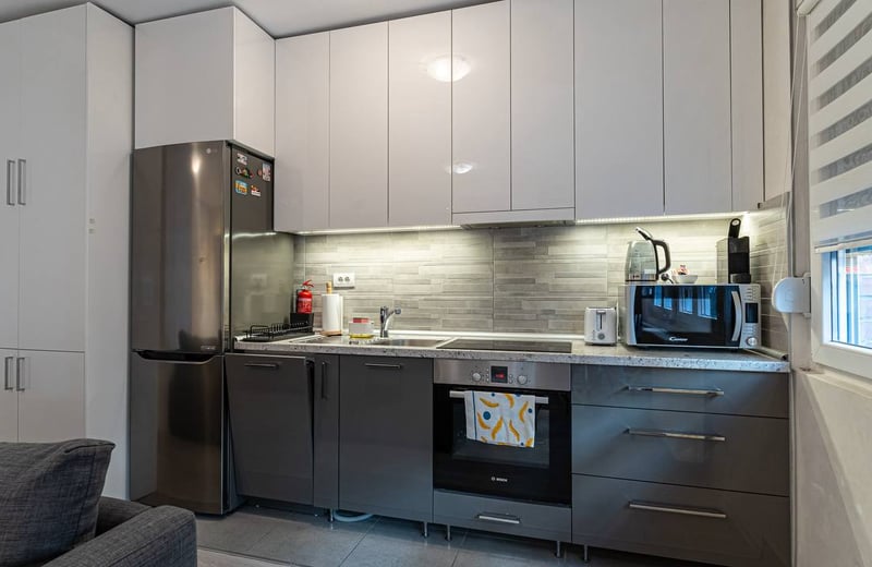 Alquiler de un acogedor apartamento amueblado de 2 habitaciones, 40 m², Vračar, Belgrado, Serbia