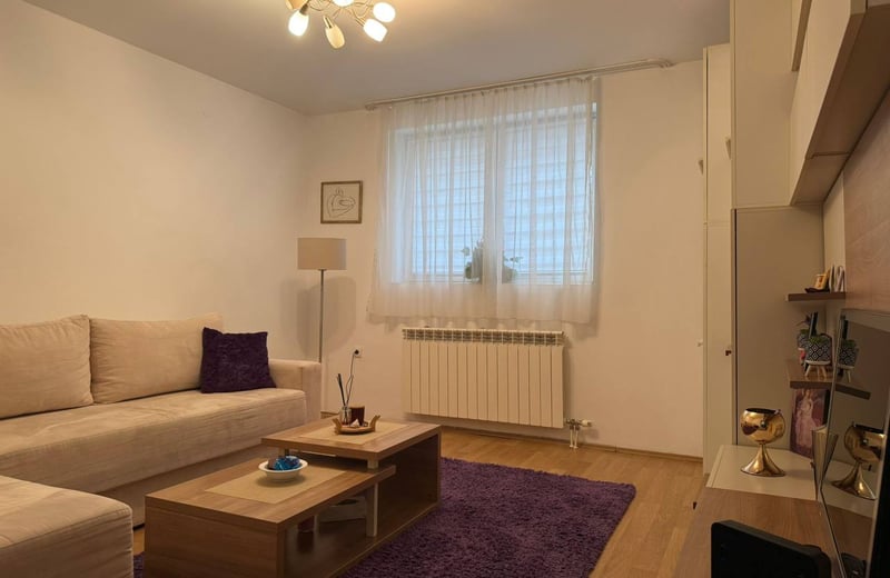 Аренда уютной трёхкомнатной квартиры, 60 м², Врачар, Белград, Сербия