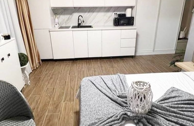 Rent of a studio apartment on the first sea line, 43 m², Mamaia, Romania