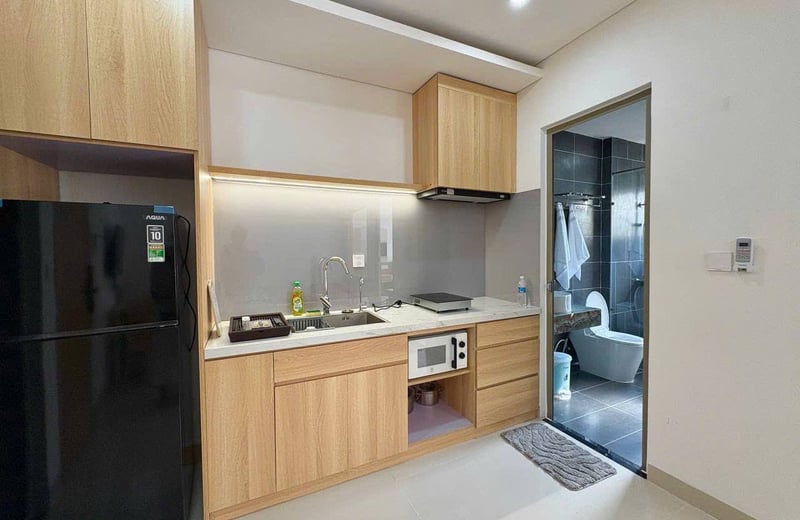 Furnished apartment with one bedroom for rent, My An area, Da Nang, Vietnam