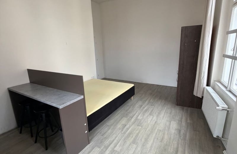 Аренда уютной однокомнатной квартиры, 25 м², Nové Město, Прага, Чехия
