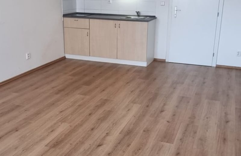 Location d’un appartement cosy et lumineux d’une pièce, 35 m², Bohnice, Prague, République Tchèque