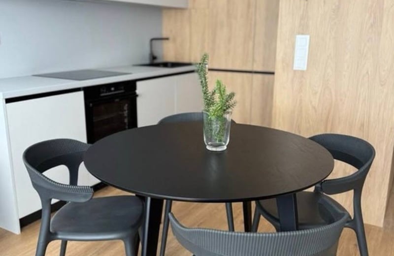 Designer 48 m² apartment for rent in Bratislava, Slovakia