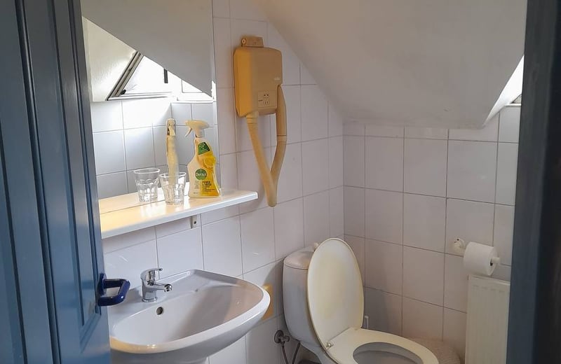 Apartamento luminoso y amueblado 18 m² en alquiler en Braník, Praga, República Checa