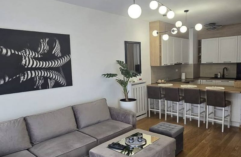Modern furnished apartment for rent in Wellport residential complex, 54 m², New Belgrade, Belgrade, Serbia