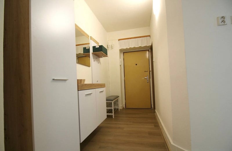 Аренда светлой, комфортной квартиры, 50 м², Вршовице, Прага, Чехия