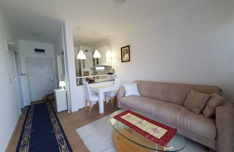 Alquiler de apartamento luminoso, cómodo, 40 m², Belgrado, Serbia