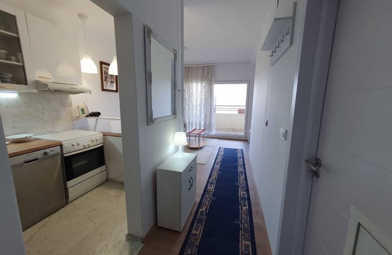 Alquiler de apartamento luminoso, cómodo, 40 m², Belgrado, Serbia