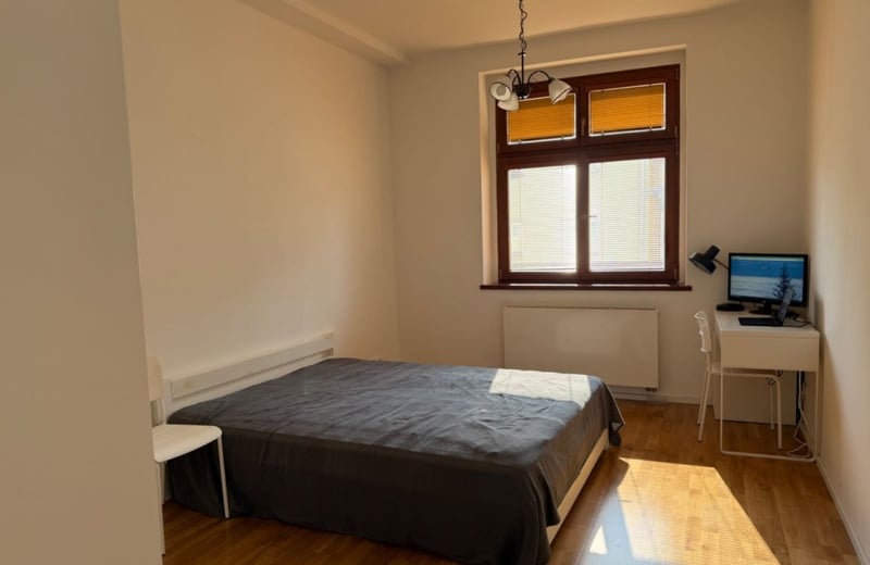 Cozy, furnished apartment for rent, 50 m², Žižkov, Prague, Czech Republic